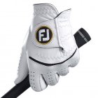 Footjoy Stasof Golf Glove